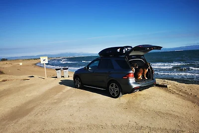 Villa Moreno Spanienurlaub mit Hund