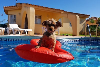SpanienUrlaub mit Hund in Riumar