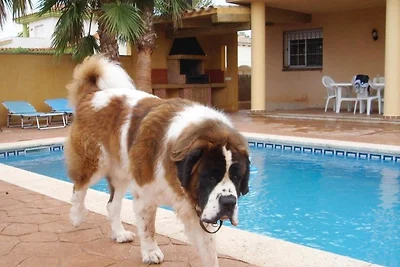 Villa Alvaro - Traumvilla am Strand