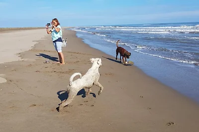 Villa Moreno Spanienurlaub mit Hund