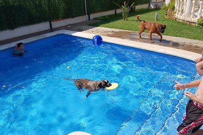 Private Ferienhäuser am Hundestrand