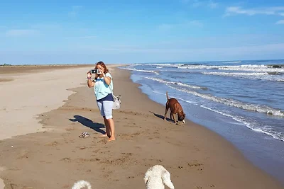Günstige Angebote für Familien