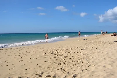 Villa Moreno Spanienurlaub mit Hund