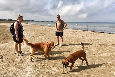 Private Ferienhäuser am Hundestrand