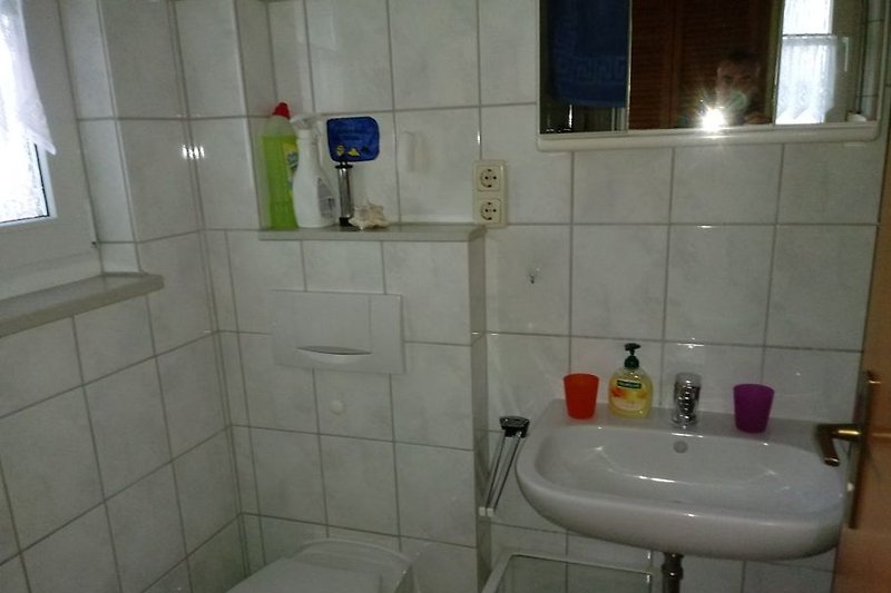Shower, toilet, ground floor