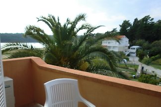 Ap/2 /& Ap/4 LUNGO MARE-RAB, Palit.