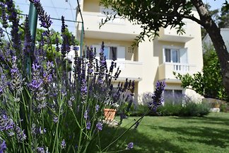Apartment*** / 8 + 2 BRANKA-Rab