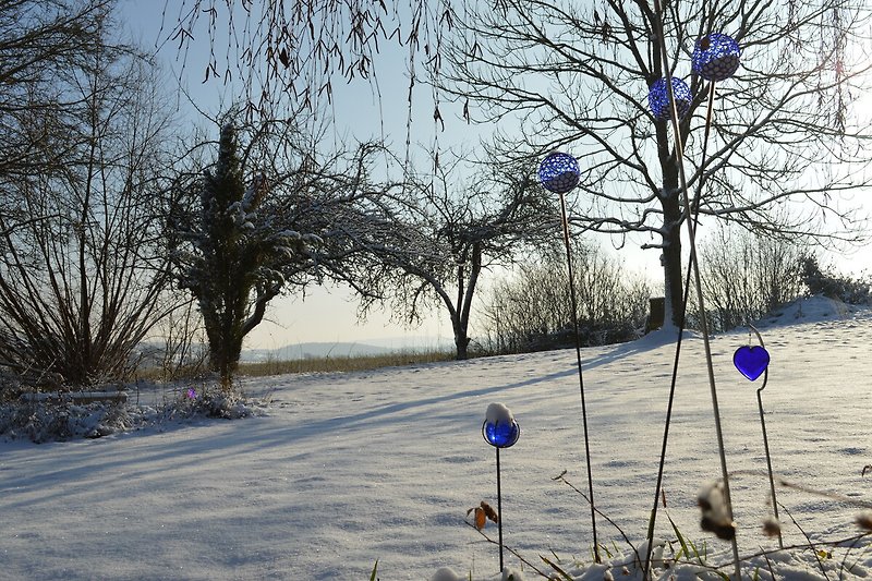 Glasklare Winterlandschaft mit verschneiten Bäumen.