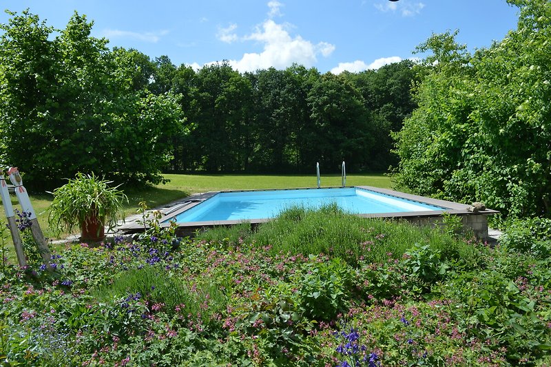 Schwimmbad umgeben von Natur, blauem Himmel und duftendem Lavendel.