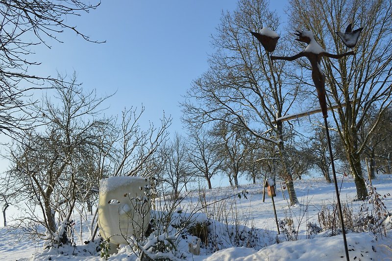 Winterlandschaft mit verschneiten Bäumen und strahlend blauem Himmel