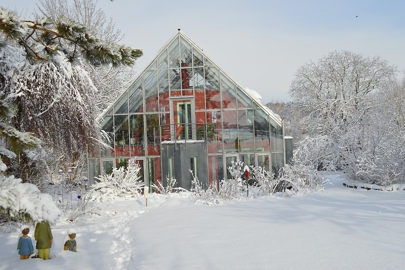 Glashaus im Winter