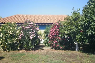 Orange Garden Bungalowanlage