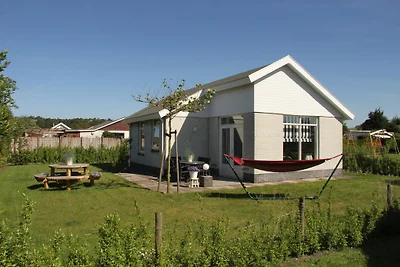 Type Den