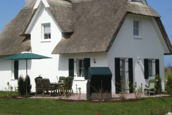 Ferienhaus Inselrose en Glowe - imágen 1 Ferienhaus Inselrose en Glowe - imágen 1