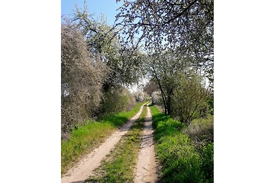 Appartamento di vacanza Sonnenschein