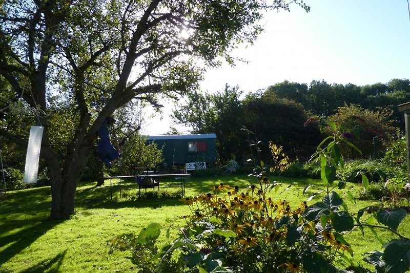Idyllic garden with a construction trailer in autumn.
