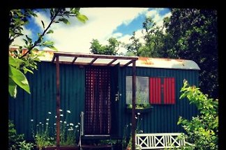 Bau-&-Zirkuswagen im Gartenidyll