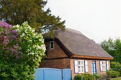 Oude boerderij met constructie en circuswagen