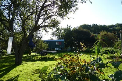 Bau-&-Zirkuswagen im Gartenidyll