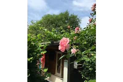 Bau-&-Zirkuswagen im Gartenidyll