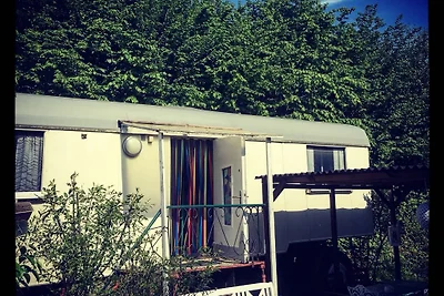 Bau-&-Zirkuswagen im Gartenidyll