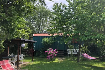 Bau-&-Zirkuswagen im Gartenidyll