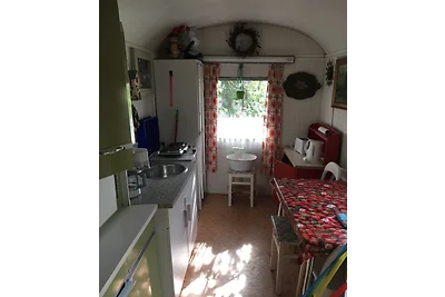 Bau-&-Zirkuswagen im Gartenidyll