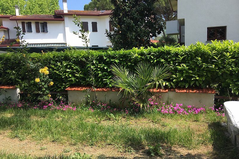 der Garten