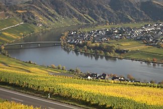 Ferienwohnung 90qm mit Moselblick