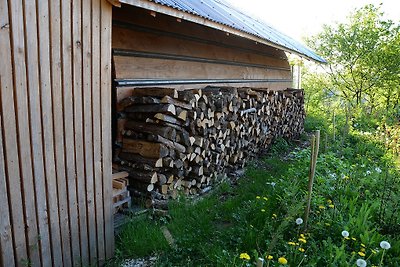 Bellevue im Leuchtkäferweiler