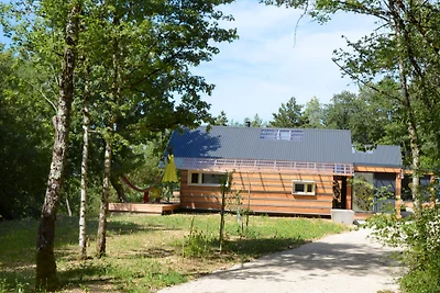 Bellevue im Leuchtkäferweiler