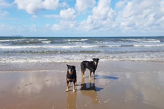 Schönes Haus und wunderschöne Strände