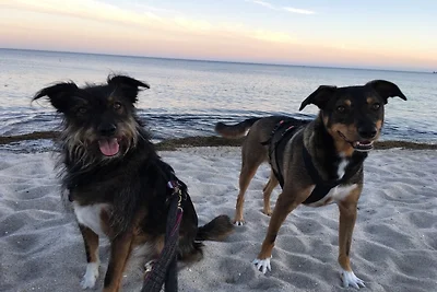 Appartamento. Accesso al mare