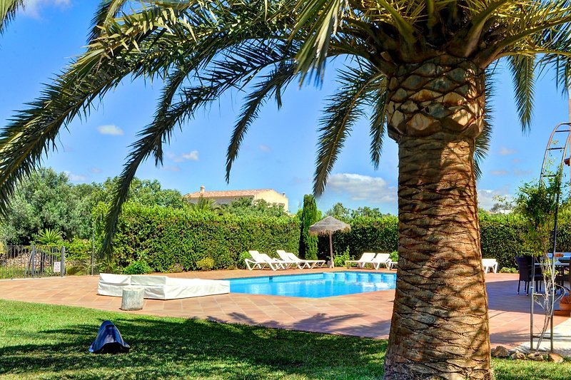 Tropischer Garten mit Pool und Palmen.