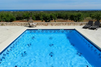 Finca with pool and sea view