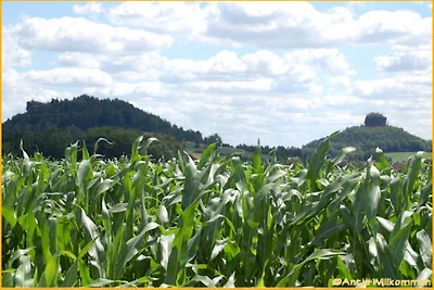 Ferienwohnung Treinies