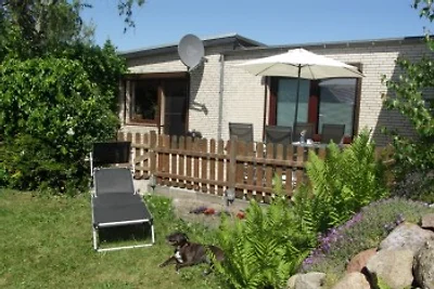 Haus Sweet Home