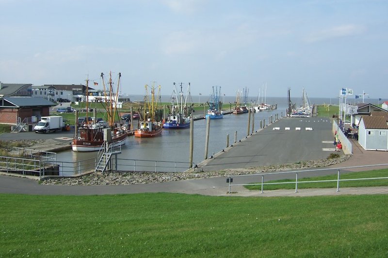        Kutterhafen