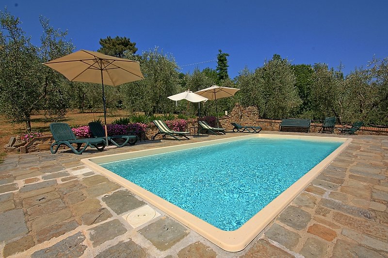 Pool Casa La Zizzola