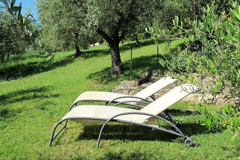 Relaxen im Olivenhain