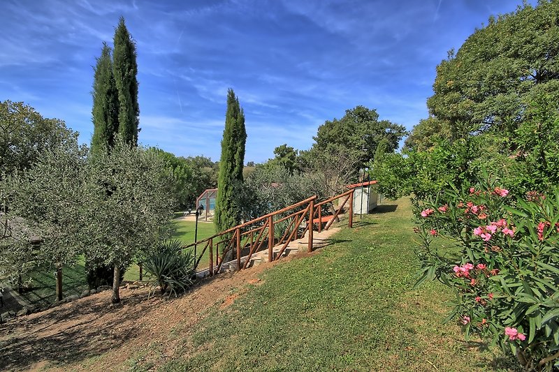 Casa Pancole - der idyllischer Garten mit blühenden Pflanzen und Zugang zum Poolbereich