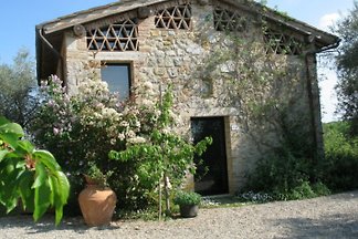 Il Nido d'amore