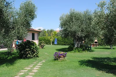 Il Bramasole