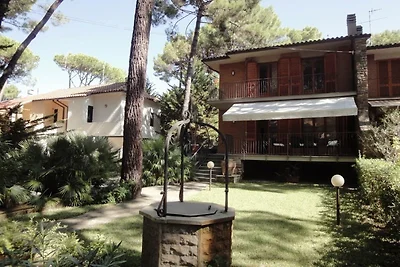 La Conchiglia d'Oro