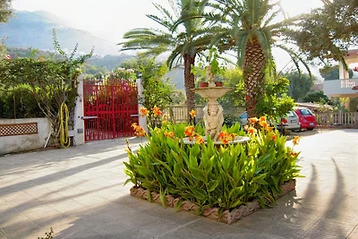 La casa degli ulivi