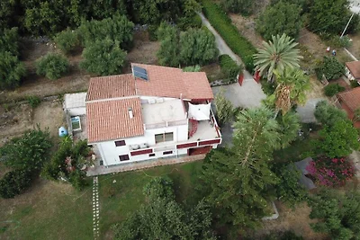 La casa degli ulivi