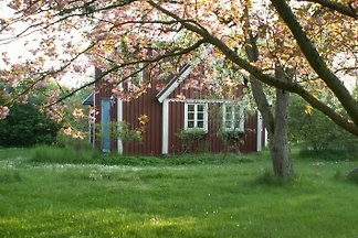 Elineberg