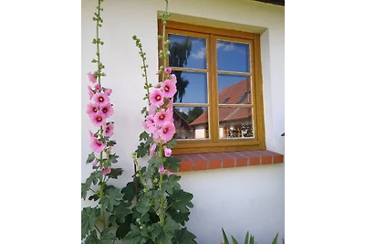 Haus Anna