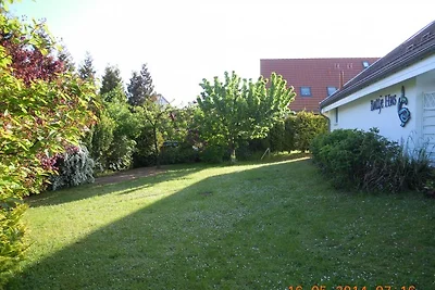Buttje Hus strandnah 300m zum Meer