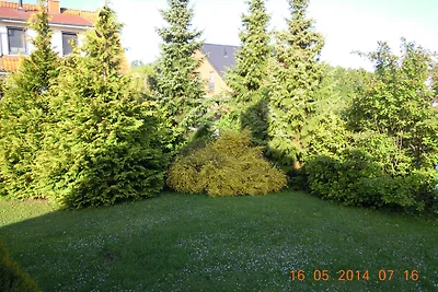 Buttje Hus strandnah 300m zum Meer